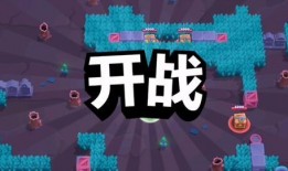 荒野乱斗司机爆料视频,揭秘游戏幕后秘密与精彩瞬间