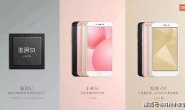 s2最新爆料,揭秘娱乐圈最新热点事件内幕